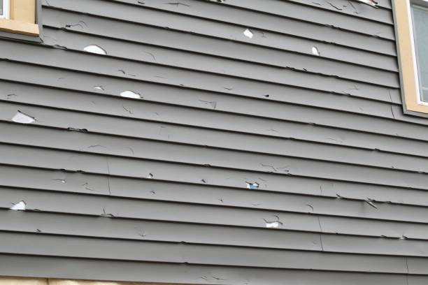 Best Composite Siding  in Hahnville, LA